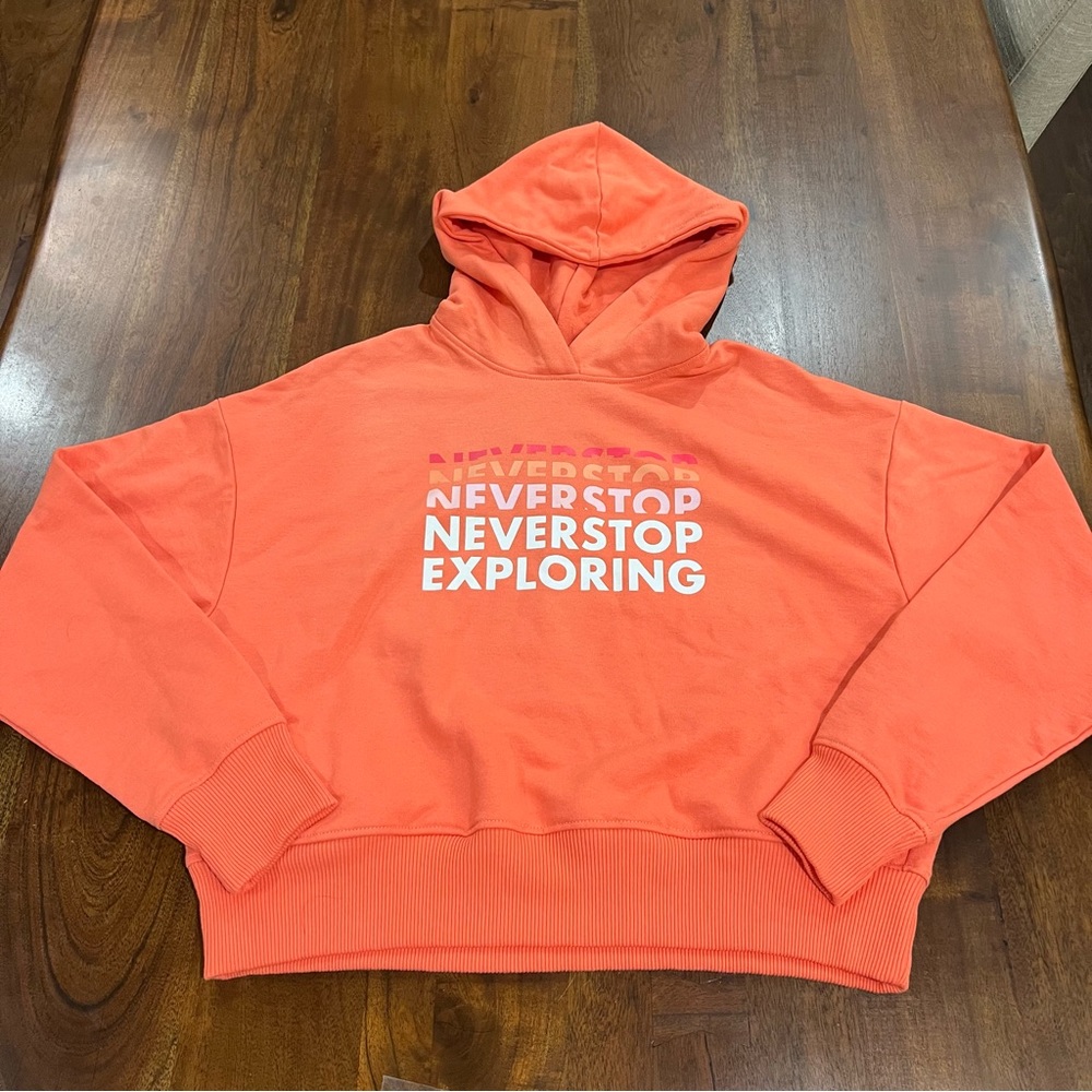 The North Face Logo Play Hoodie Size Medium